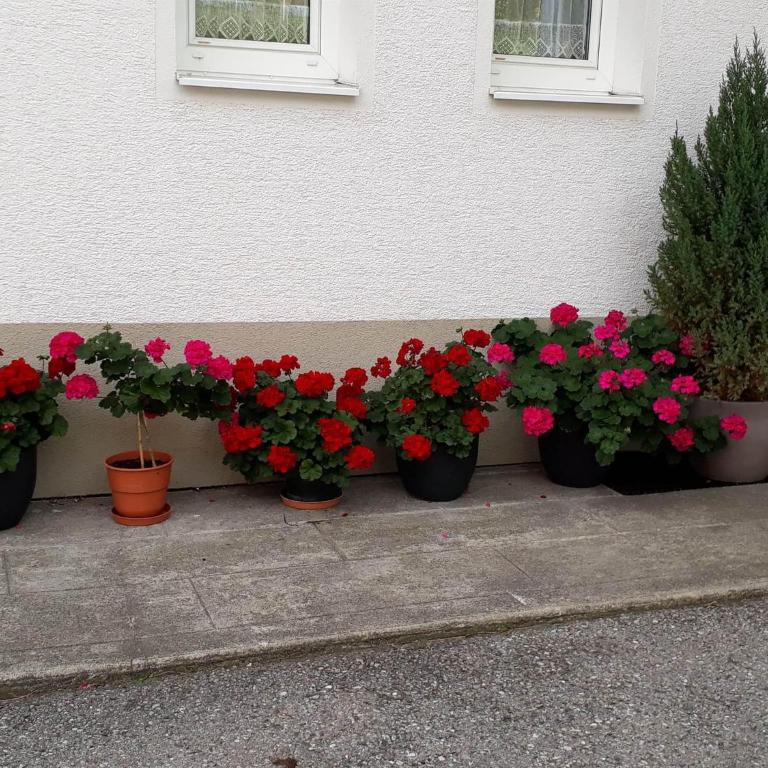 Haus Vallaster - Apartment mit 3 Schlafzimmern und Dusche - 7