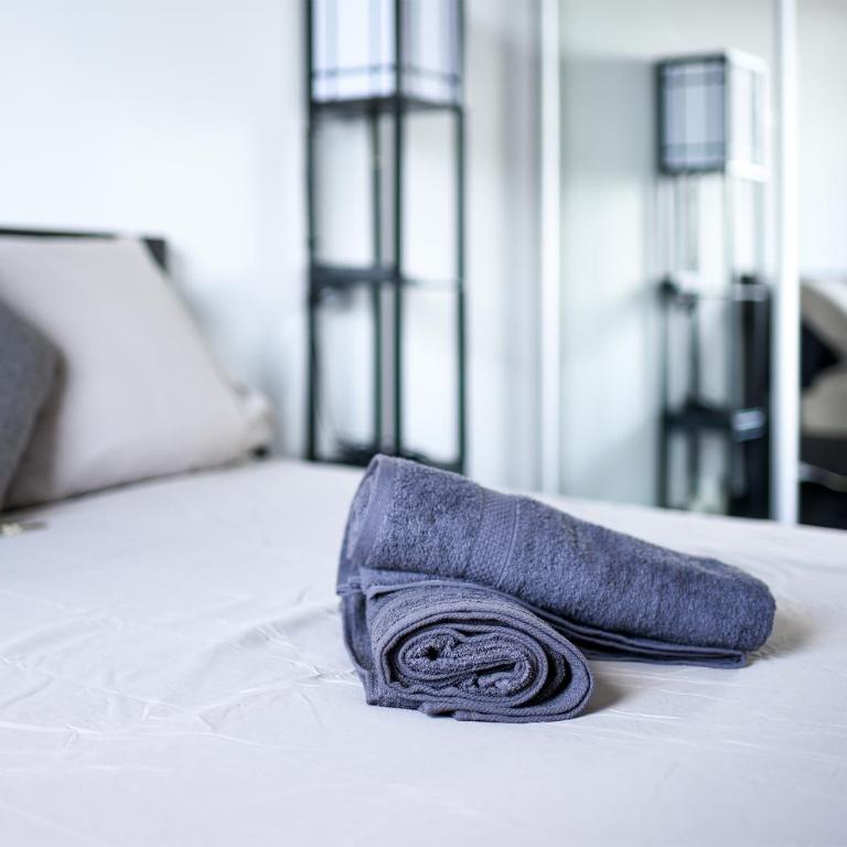 Les terrasses - T3 Spacieux avec parking gratuit - Apartamento de 2 dormitorios - 5