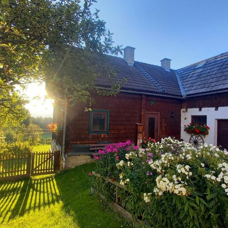 Ferienhaus SCHWEIZER Hof - Maison 3 Chambres - 32