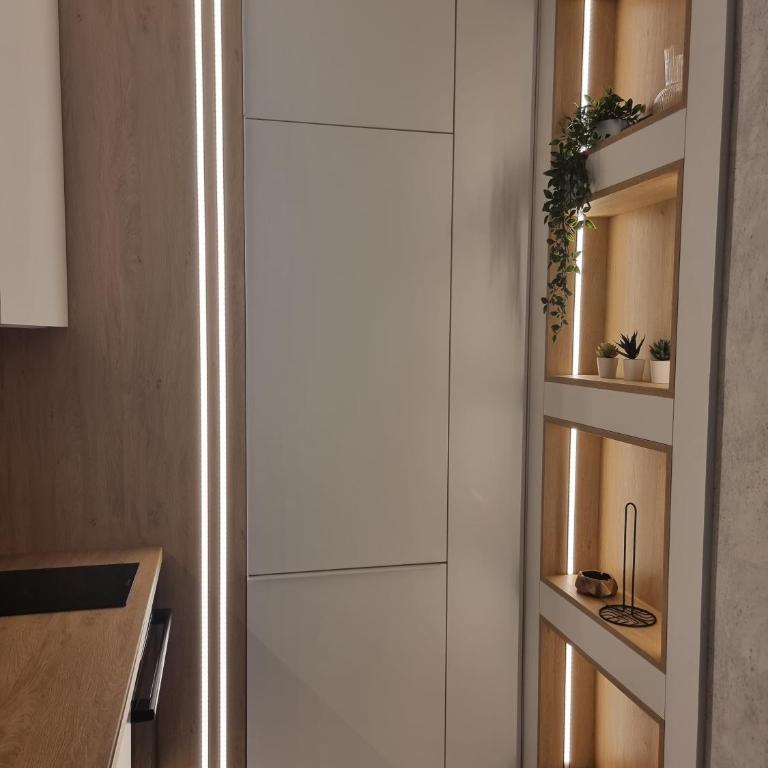 Katarina's Residence Novi Sad - Apartman sa 1 Spavaćom Sobom - 13