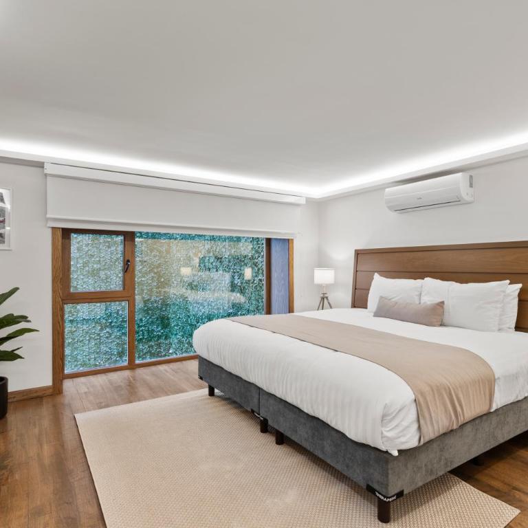 Casa Niza Suites - One-Bedroom Apartment - 3