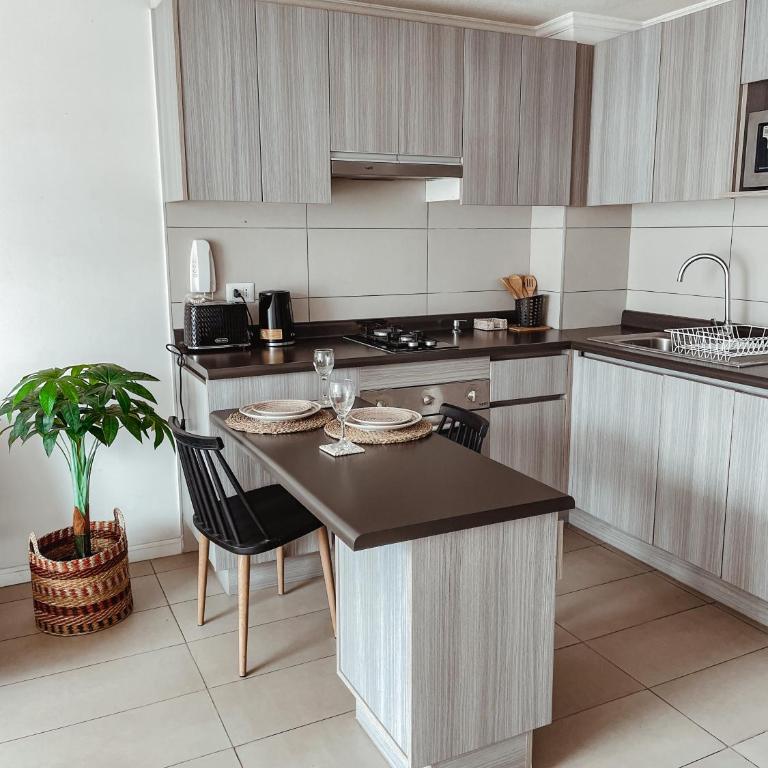 Pleno centro de iquique - One-Bedroom Apartment - 1