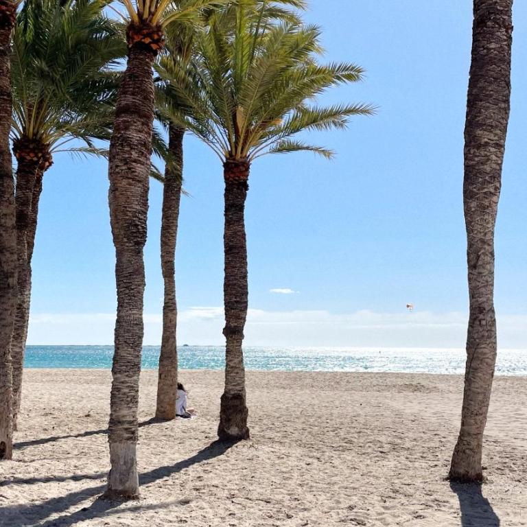 Casa Petita, Apartamento con Encanto - Villajoyosa - Two-Bedroom Apartment - 36