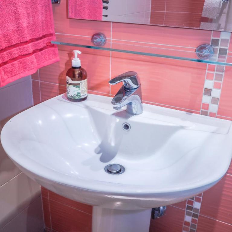 Tesla Museum Residence - Apartman sa 1 Spavaćom Sobom - 17