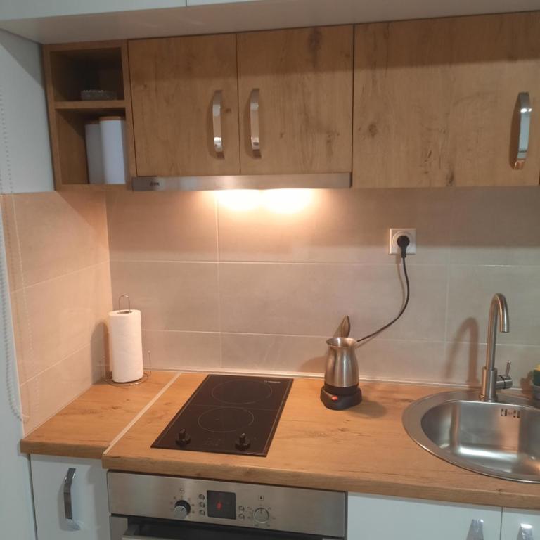 Apartmani Milenkovic - Apartman sa 1 Spavaćom Sobom - 4