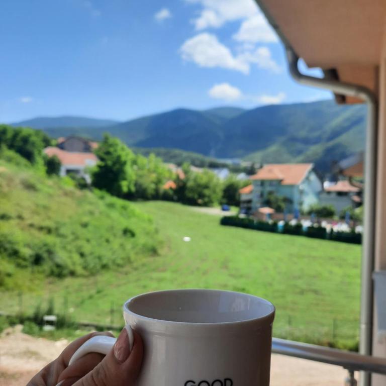 Apartmani Milenkovic - Apartman sa 1 Spavaćom Sobom - 1