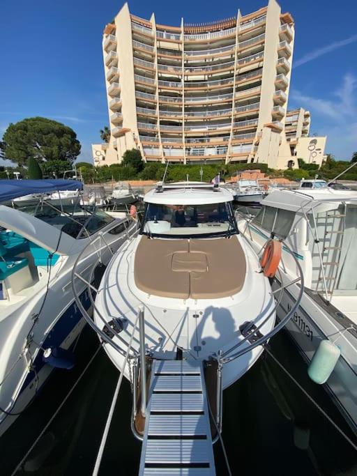 Séjour sur bateau de plaisance - Casa Mobile - 3