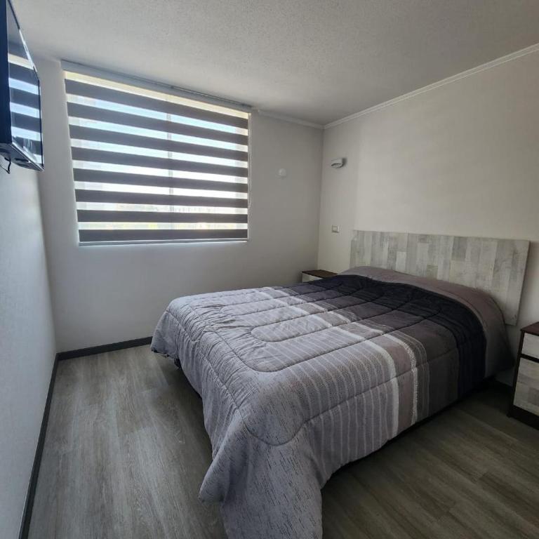 departamento pacifico - Two-Bedroom Apartment - 6