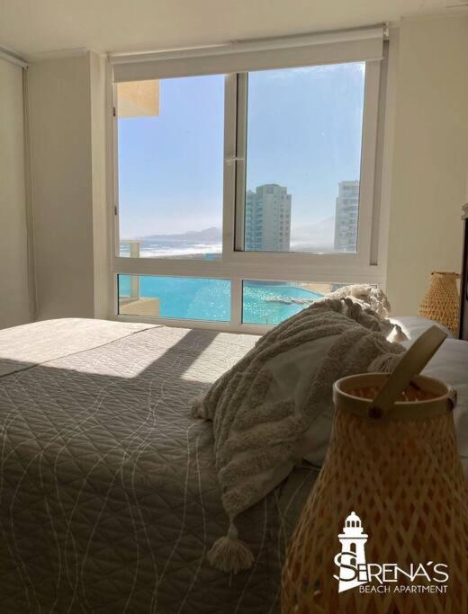 OoS - One-Bedroom Apartment - 12