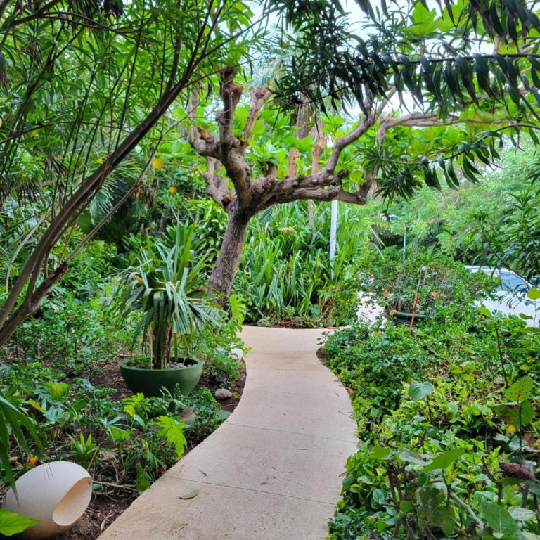 Beachfront Getaway Condo - Apartment with Sea View - 11