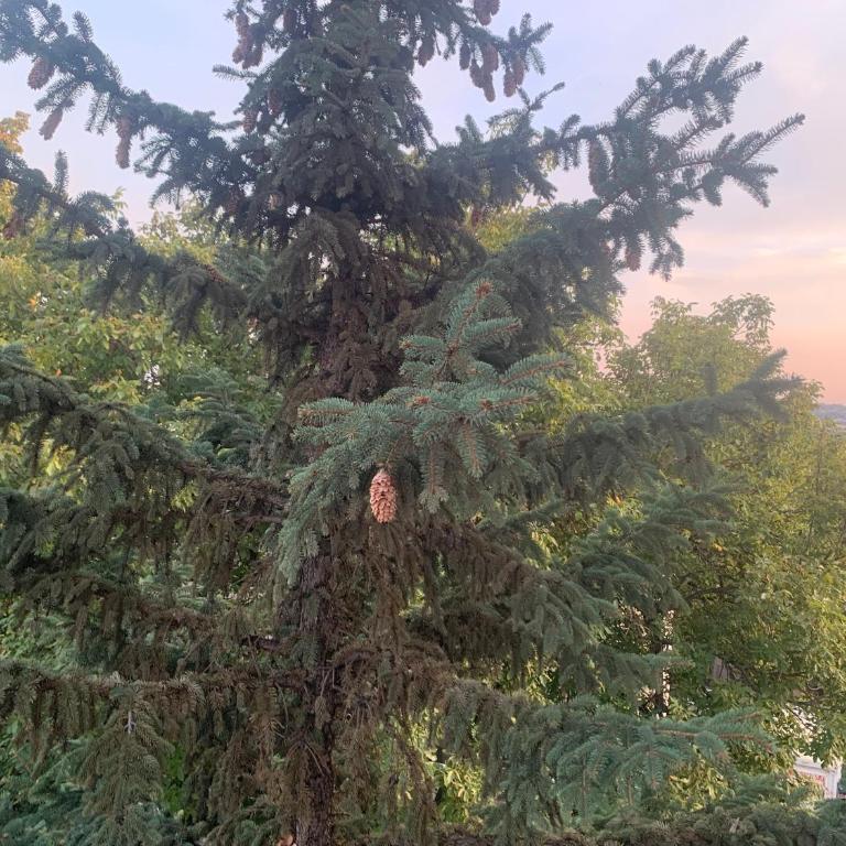 Urban Escape - Apartman sa 1 Spavaćom Sobom - 33