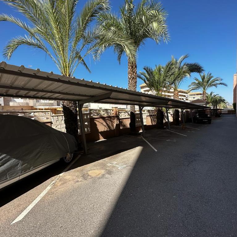 Arenales del Sol Beach Apartment - One-Bedroom Apartment - 24
