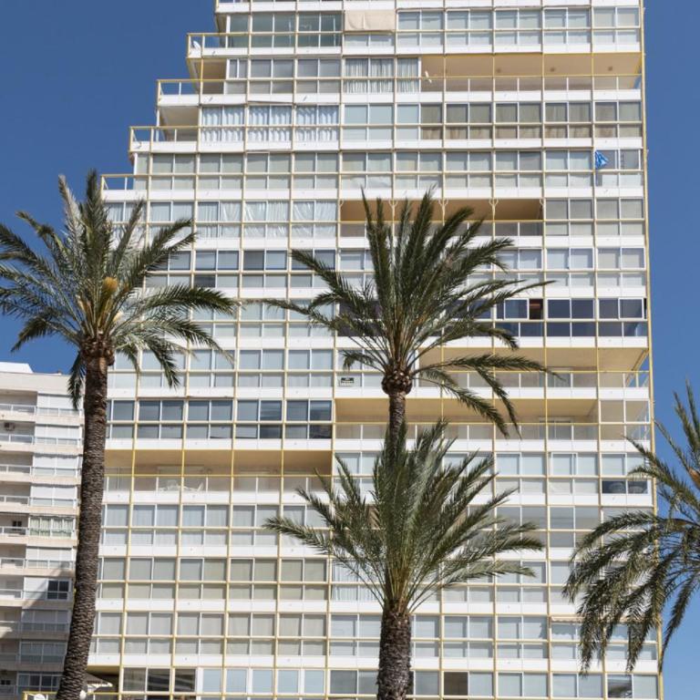Florazar 3, 3-C - Apartment - 31