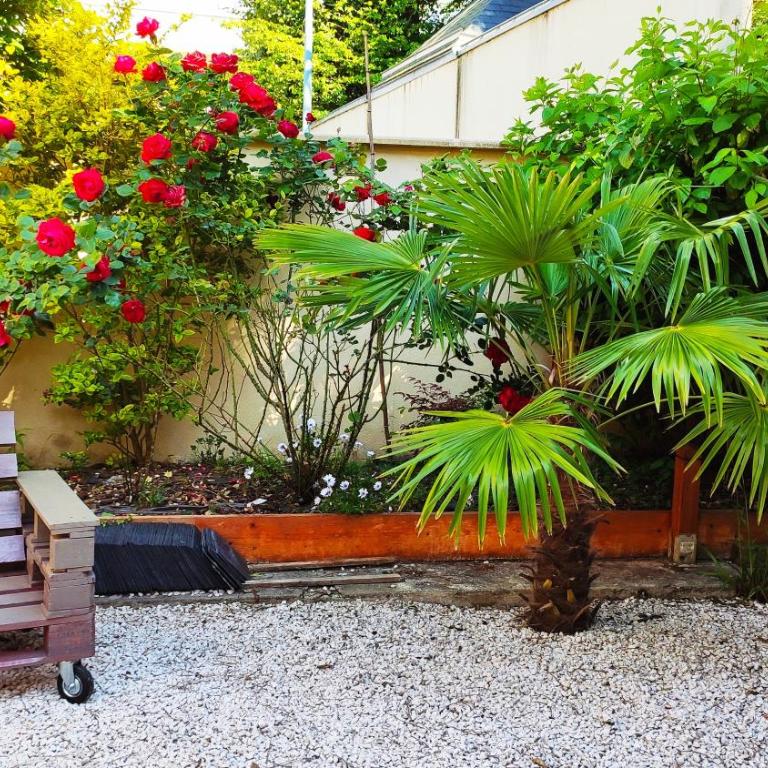 Les Muguets - Appartement - Rez-de-Chaussée - 19