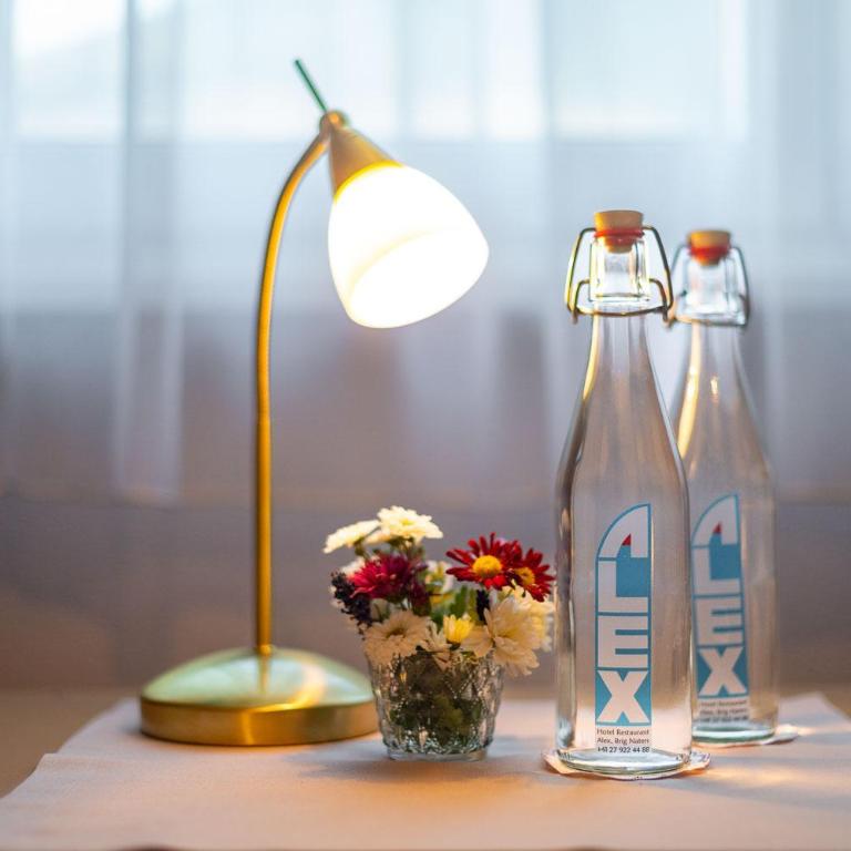 Hotel Alex Business & SPA - Einzelzimmer - 3
