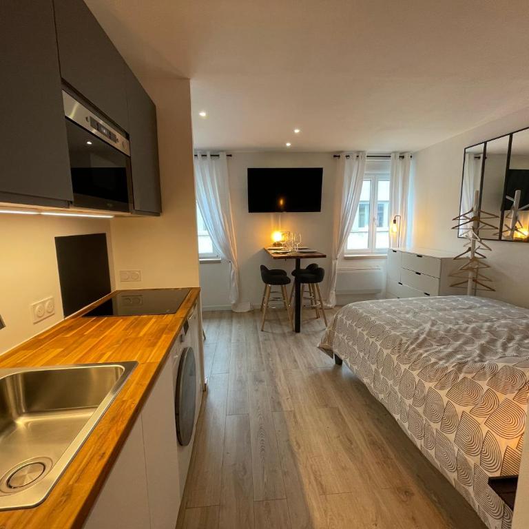 Grand Studio - Le Kléber - Strasbourg Centre - Apartment - 1