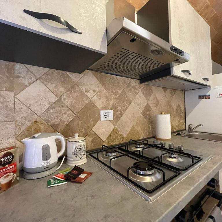 Fonte 6: Centro vicino piazza del Campo - One-Bedroom Apartment - 18