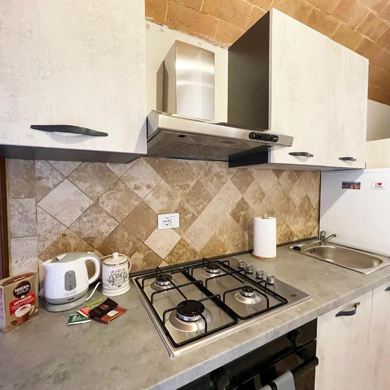Fonte 6: Centro vicino piazza del Campo - One-Bedroom Apartment - 20