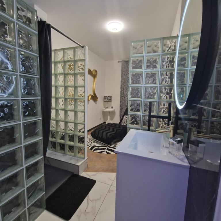 Appartement spacieux MULHOUSE - Apartment mit 1 Schlafzimmer - 16