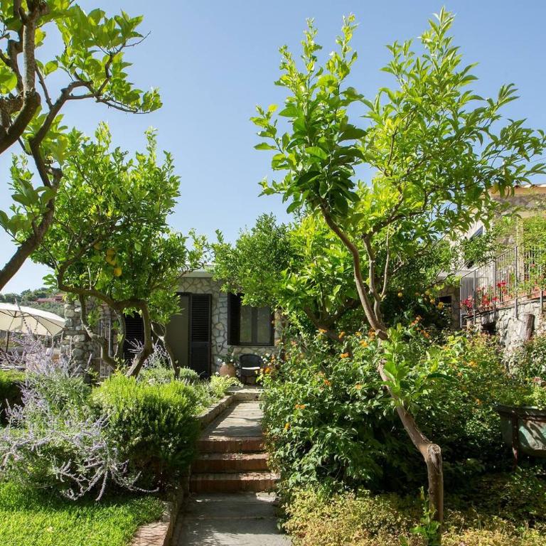 Villa Flora, Massa Lubrense - Villa - 9