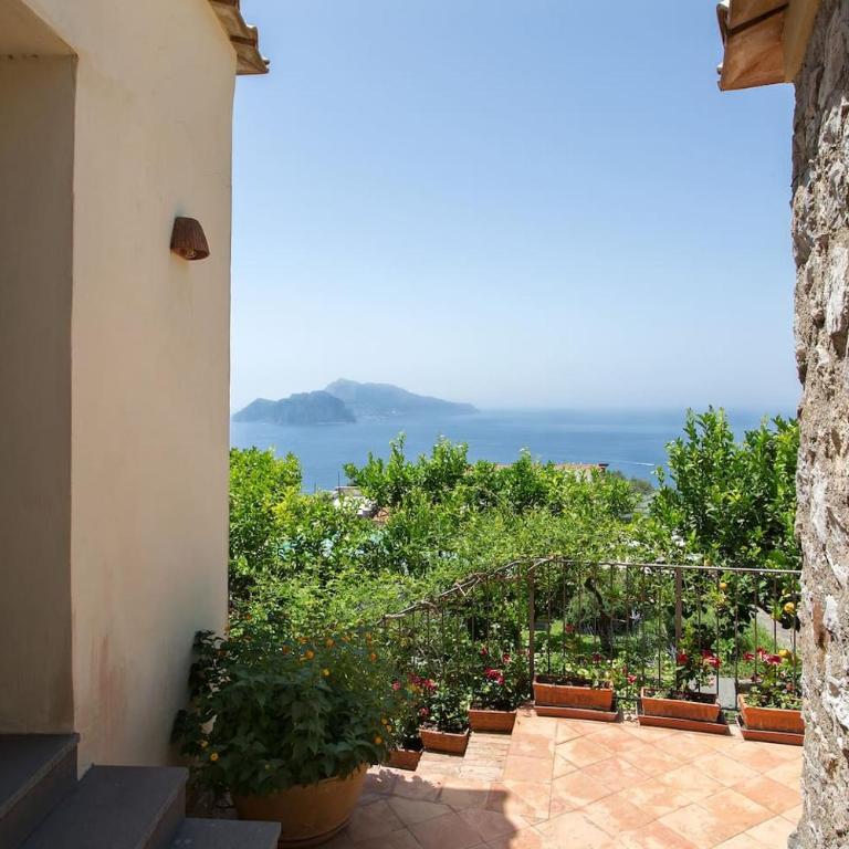 Villa Flora, Massa Lubrense - Villa - 19