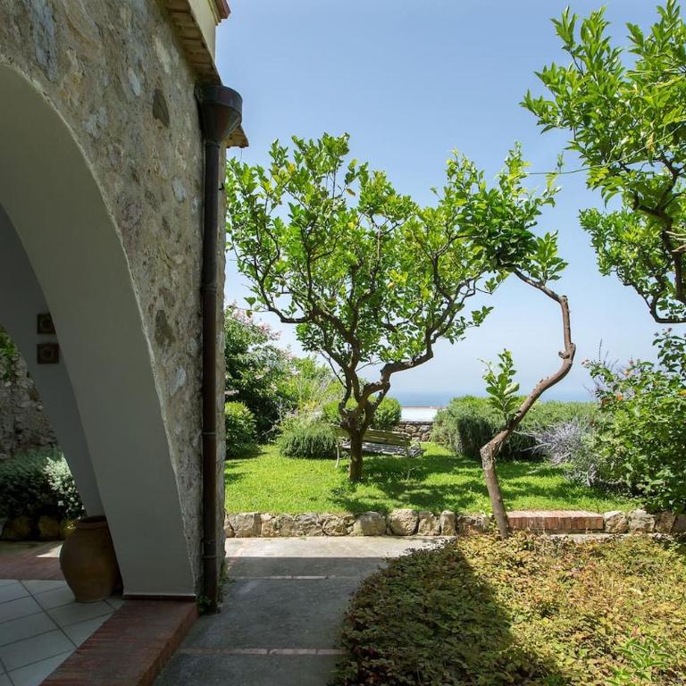 Villa Flora, Massa Lubrense - Villa - 20