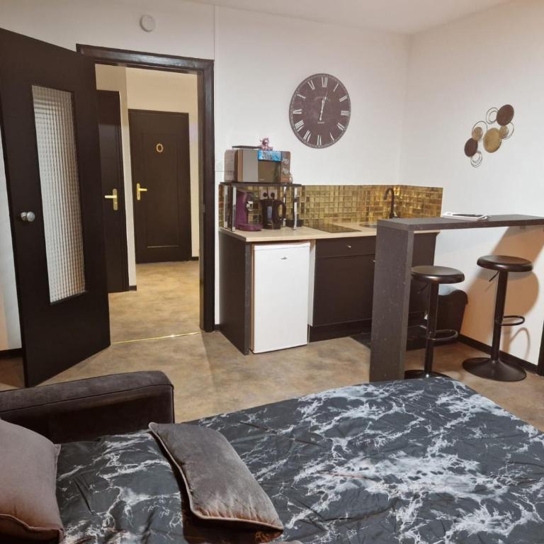 Appartement spacieux MULHOUSE - Apartment mit 1 Schlafzimmer - 13