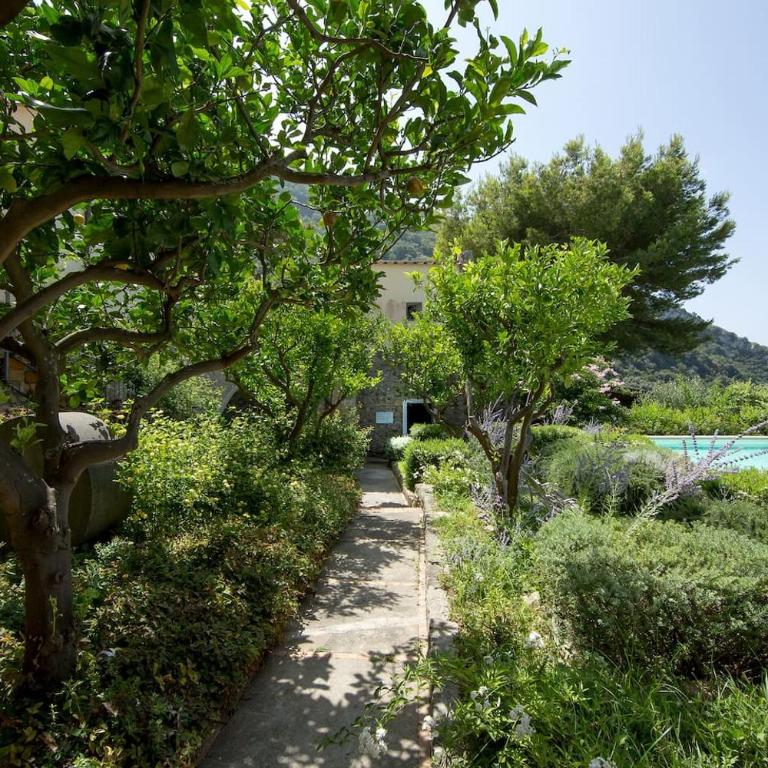 Villa Flora, Massa Lubrense - Villa - 40