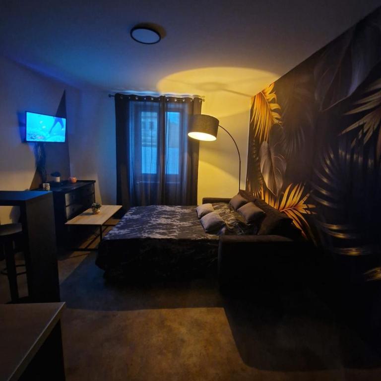 Appartement spacieux MULHOUSE - Apartment mit 1 Schlafzimmer - 9