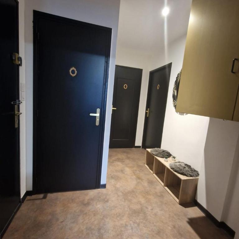 Appartement spacieux MULHOUSE - Apartment mit 1 Schlafzimmer - 21