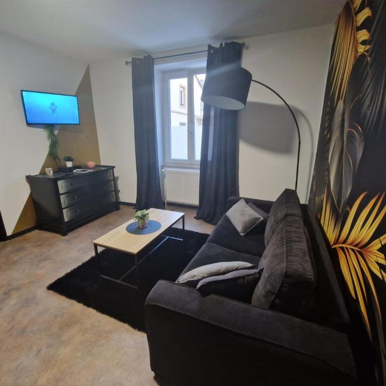Appartement spacieux MULHOUSE - Apartment mit 1 Schlafzimmer - 5