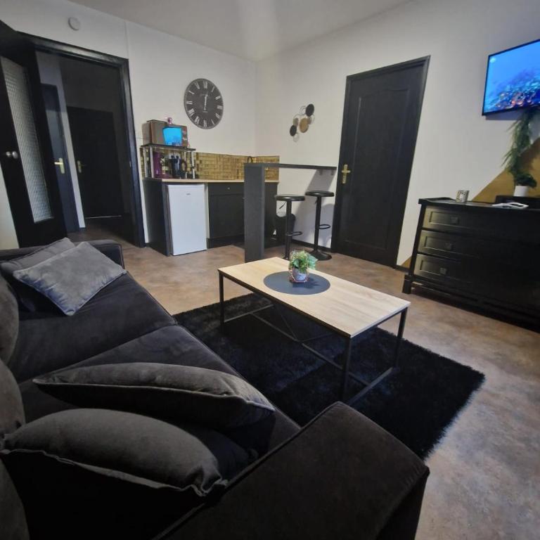 Appartement spacieux MULHOUSE - Apartment mit 1 Schlafzimmer - 4