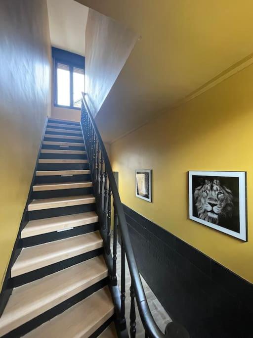Le Cosy Dunkerquois - Appartement 1 Chambre - 35