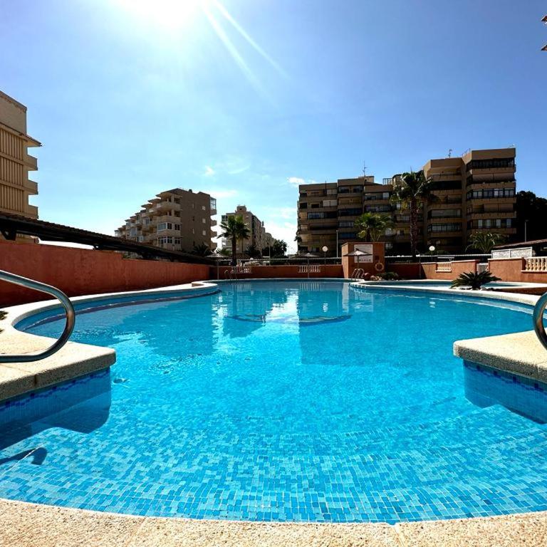 Arenales del Sol Beach Apartment - One-Bedroom Apartment - 9