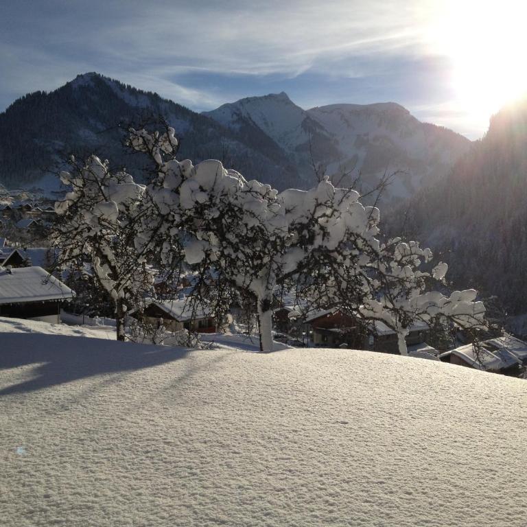La Chaumiere - Luxury Traditional Chalet, Châtel - Chalet - 24