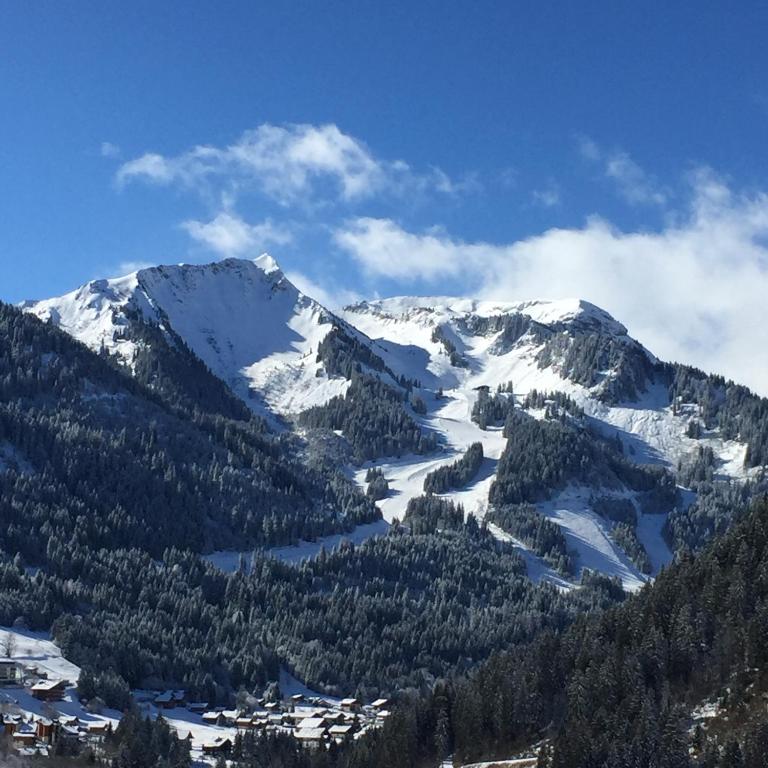 La Chaumiere - Luxury Traditional Chalet, Châtel - Chalet - 16