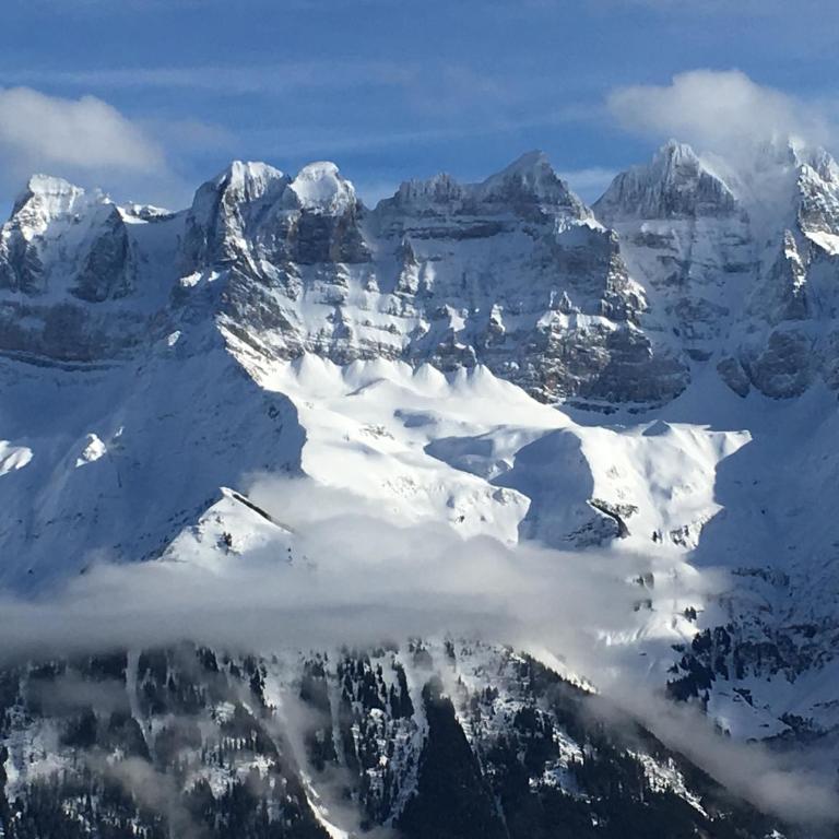 La Chaumiere - Luxury Traditional Chalet, Châtel - Chalet - 34