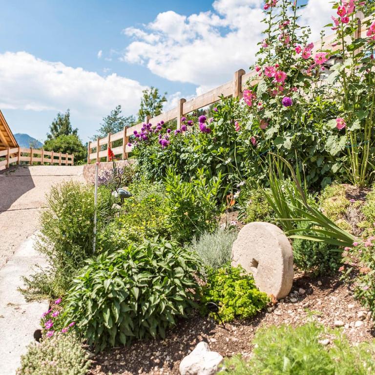 Apartments Milanhof - Appartamento con Vista Montagna - 16