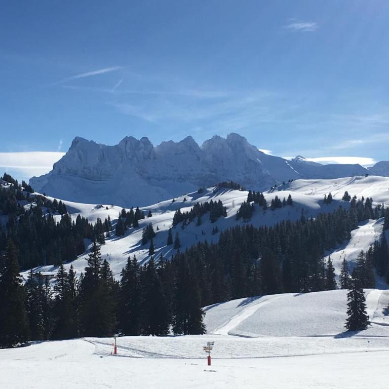 La Chaumiere - Luxury Traditional Chalet, Châtel - Chalet - 62