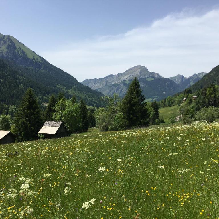 La Chaumiere - Luxury Traditional Chalet, Châtel - Chalet - 66