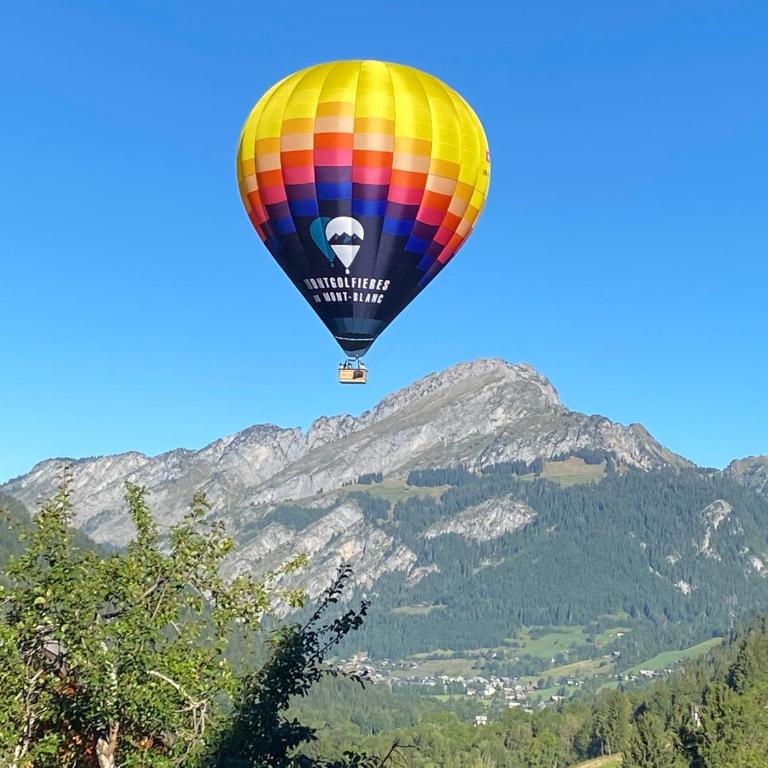 La Chaumiere - Luxury Traditional Chalet, Châtel - Chalet - 64