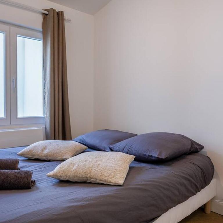 La suite d'Orbigny en hyper centre - Appartement 1 Chambre - 11