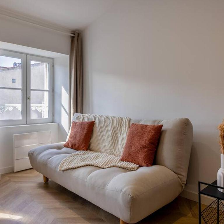 La suite d'Orbigny en hyper centre - Appartement 1 Chambre - 21