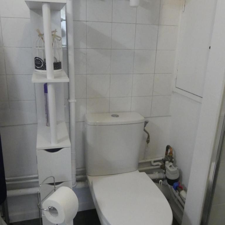 T2 calme logement entier 45 m² sur Debourg/Gerland - Appartement 1 Chambre - 11