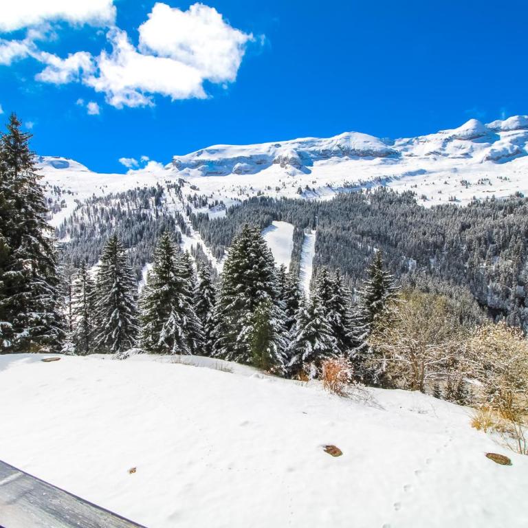 Studio Cabine Sud, centre de Flaine, linge et menage compris - Studio Deluxe - 7