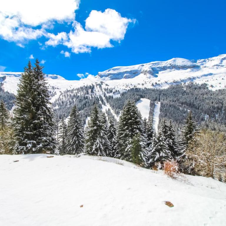 Studio Cabine Sud, centre de Flaine, linge et menage compris - Studio Deluxe - 28