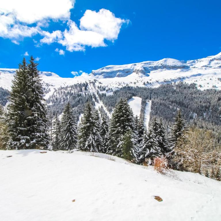 Studio Cabine Sud, centre de Flaine, linge et menage compris - Studio Deluxe - 37