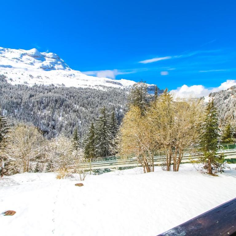 Studio Cabine Sud, centre de Flaine, linge et menage compris - Studio Deluxe - 54