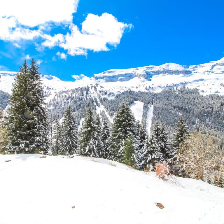 Studio Cabine Sud, centre de Flaine, linge et menage compris - Studio Deluxe - 64