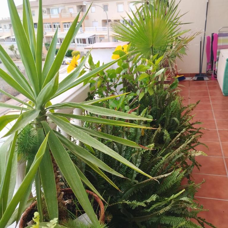 Casa Cariño - Apartamento de 1 dormitorio - 25